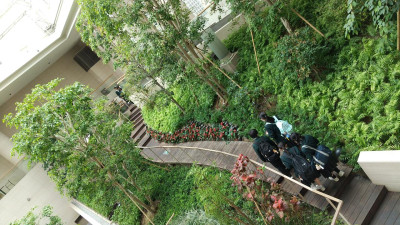 saved_file_1745373304129