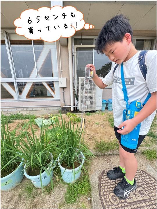 kmn_図２＿６５センチ