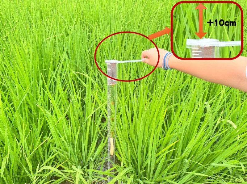 kmn_スクリーンショット 2025-07-30 10.16.21