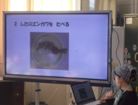 スクリーンショット 2025-12-02 144349