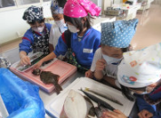 スクリーンショット 2025-12-02 153105